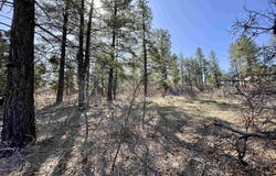 252 Starlight Place, Pagosa Springs, CO 81147