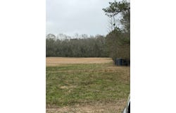 71 THOMAS ED RUSTIN RD, LAUREL, MS 39443
