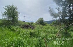 Tbd Sunnyside Bench Rd., Lenore, ID 83541