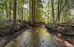 10347 Irish Road, Otisville, MI 48463