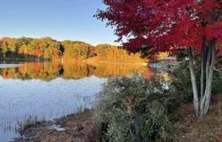 2350 Deer Lake, Harrison, MI 48625