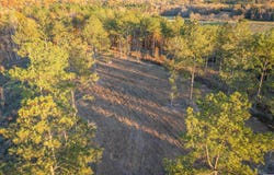 4090 COUNTY ROAD 62, GAYLESVILLE, AL 35973