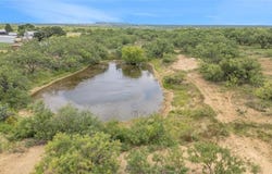 Tbd 17.5 Acres FM 2131, Coleman, TX 76834