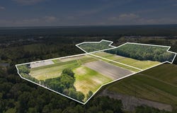 Willis Farm (68ac All 3 Lots), Newport, NC 28570