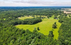 496 County Road 496, Lexington, AL 35648