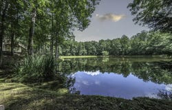 191 Tumlin Creek, Roopville, GA 30170