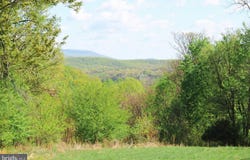 224 OATES Road, STAR TANNERY, VA 22654