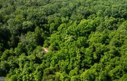 11326 ROGUES ROAD, MIDLAND, VA 22728
