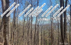 Skyline Drive, Waynesville, NC 28786