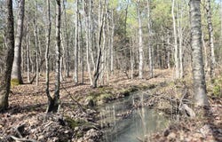 Cottonwood Tr, Sunbright, TN 37872