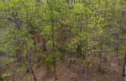 TURKEYSAG TRL, PALMYRA, VA 22963
