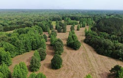 656 Sunset Drive, Coldwater, MS 38618