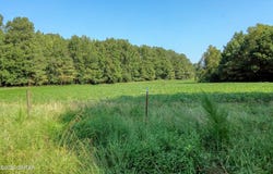 Finch Road, Gleason, TN 38229