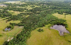 775 W East Quinlan Parkway Street, Quinlan, TX 75474
