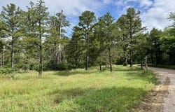 400 Tree Farm Road, Melbourne, AR 72556