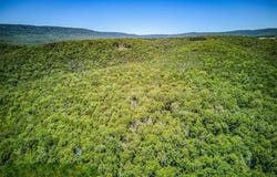 000 NC 2900, Marble Falls, AR 72648