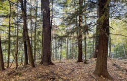 Lot 2B Nightingale, Hancock, MI 49930