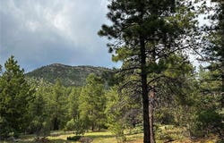 758 Basin Drive, Cotopaxi, CO 81223