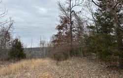 Lot 1 Deer Meadows Lane, Yellville, AR 72687
