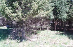 Off CTH N, Glidden, WI 54527
