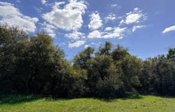 000 Loose Cow Road, Garwood, TX 77442