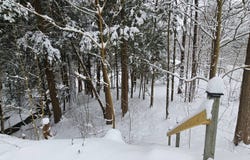 7900 New Floyd Rd, Floyd, NY 13440
