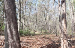 FAIRLEE ROAD, CHESTERTOWN, MD 21620