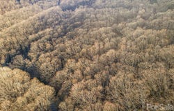 Wildflower Cove Road, Swannanoa, NC 28778