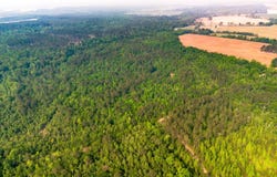 Fields Farm Road, Millen, GA 30442