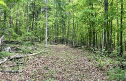 Echo Point Road, Bronston, KY 42518
