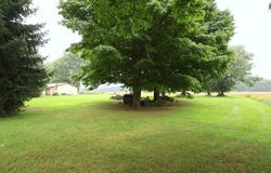 1155 Dunks Road, Sherwood, MI 49089