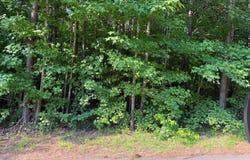 143 Oak Leaf, Carrollton, GA 30116