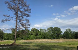 4845 Cayuga Road, Utica, MS 39175