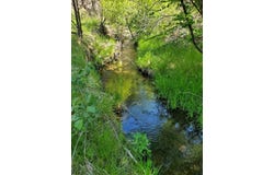 WILEY CREEK ROAD Road, Dayville, OR 97825