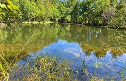 12 Bud Elliot Subdivision, Purvis, MS 39475