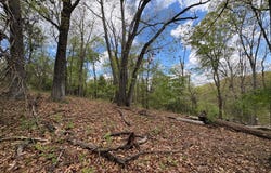 5 AC BEAM Road, ROMNEY, WV 26757