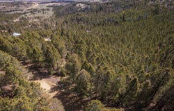 Porcupine Drive Lot 27B, Dubois, WY 82513