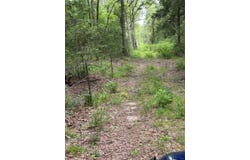 000 An County Road 137 RD, Elkhart, TX 75839