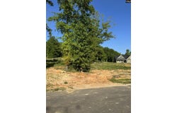 238 Navigator Trail, Prosperity, SC 29127