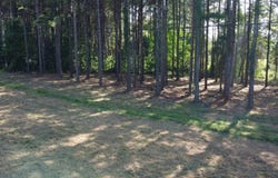 1900 Highway 23, Ozark, AR 72949