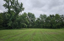 Lot 1 E Prairie Lane, Ash Grove, MO 65604