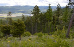 NHN Bugler Trail, Kila, MT 59920