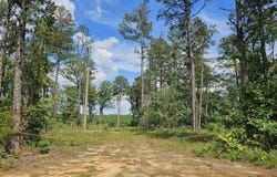 0 Newton Rd, Clinton, AR 72031