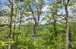 Lt 15A Von Trapp Lane unit: 15A, Tuckasegee, NC 28783