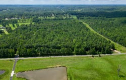 0000 CO RD 54, PARCEL #4, Haleyville, AL 35565