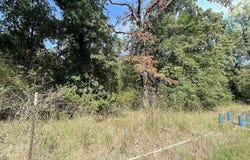 Lot 166 Stonewall Drive, Streetman, TX 75859