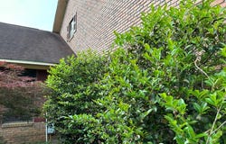 5704 FOREST LAKE DRIVE, TIFTON, GA 31794