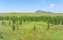 TBD 40 ac. Highway 79, Sturgis, SD 57785