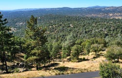 5635 Clouds Rest, Mariposa, CA 95338