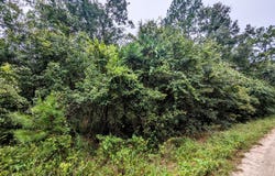5673 CARIBBEAN Circle, Keystone Heights, FL 32656